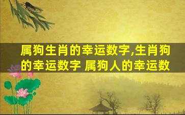 属狗生肖的幸运数字,生肖狗的幸运数字 属狗人的幸运数